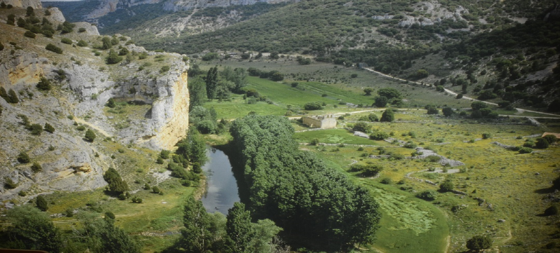 carrusel de portada